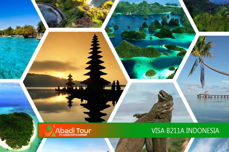 VISA B211A INDOENSIA