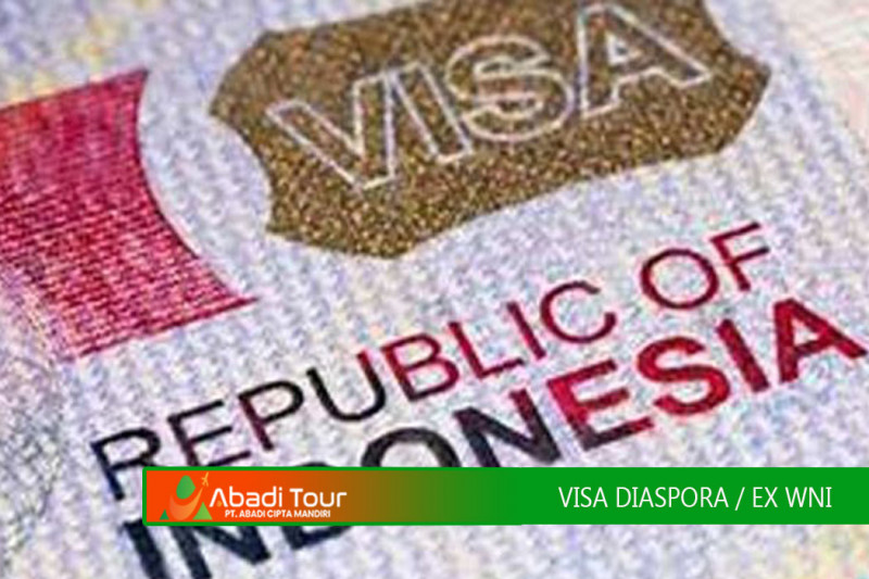 VISA DIASPORA / EXWNI / VISA E32C